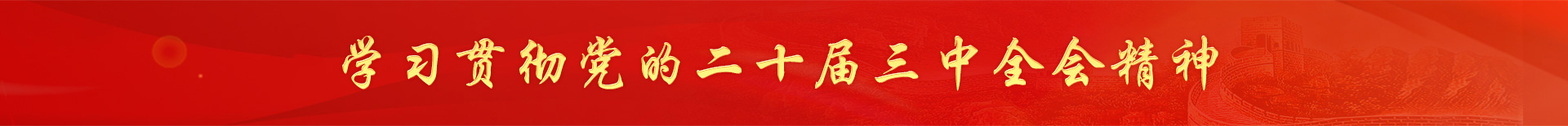 学习贯彻党的二十届三中全会精神