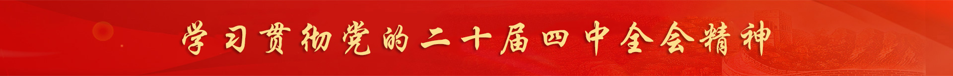 学习贯彻党的二十届四中全会精神