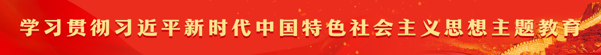 学习贯彻习近平新时代中国特色社会主义思想主题教育