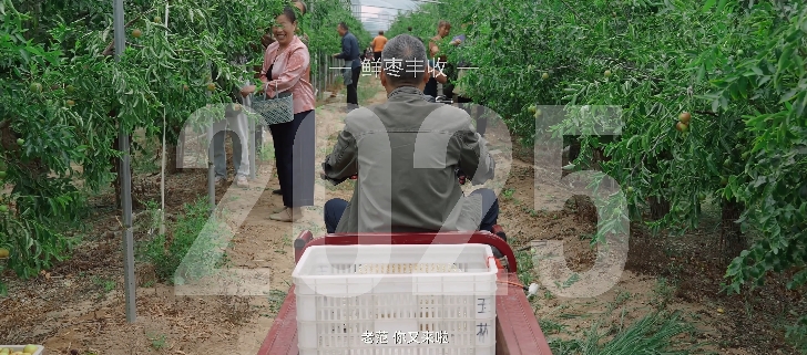 【“四微”作品展播】一“竿”到底