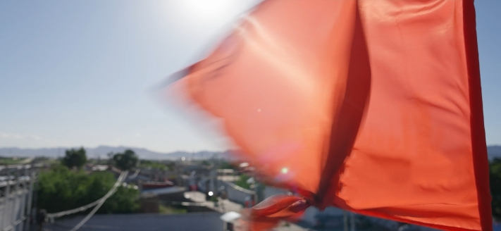 【“四微”作品展播】向光而行