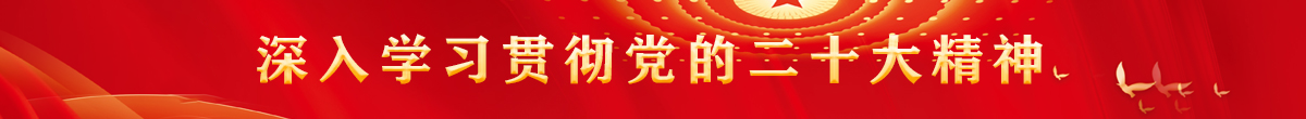 深入学习贯彻党的二十大精神