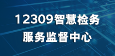 12309智慧检务服务监督中心